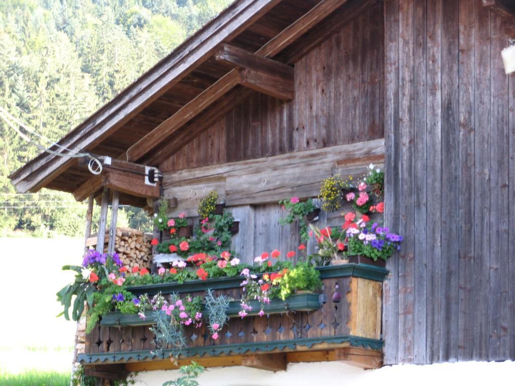 Landgasthof Ledererwirt Guest House เอบส์ ภายนอก รูปภาพ